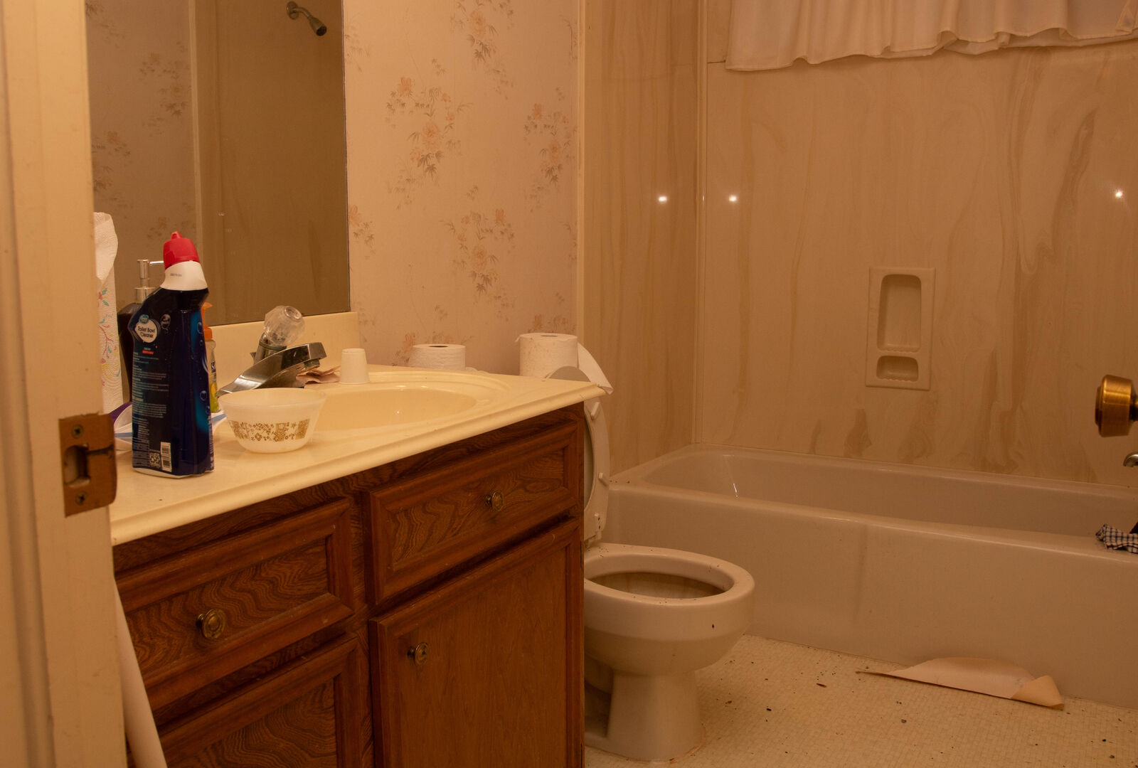 Bathroom before renovation