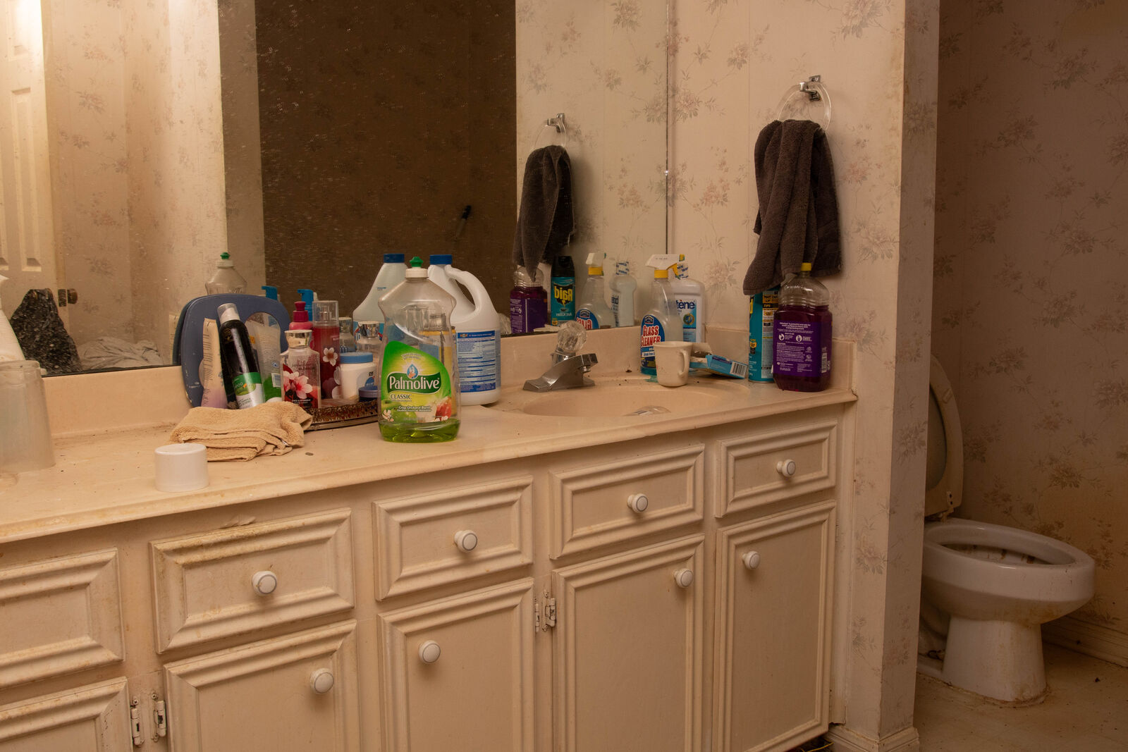 Bathroom vanity before renovation